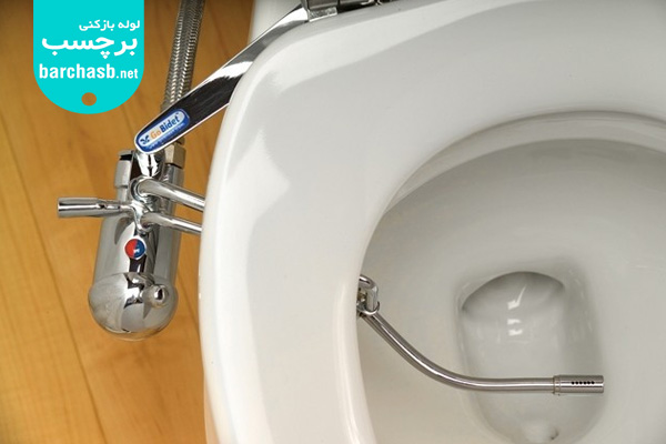 بیده چیست