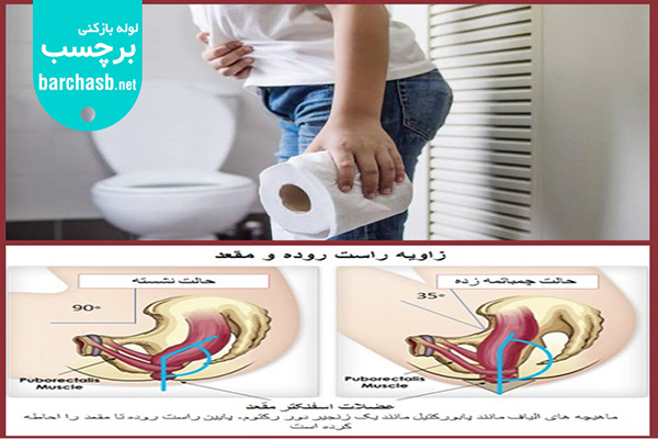 توالت آسان نشین بهتر از توالت فرنگی است