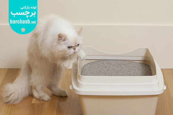 دستشویی کردن گربه خارج از خاک به علت مناسب نبودن محل ظرف