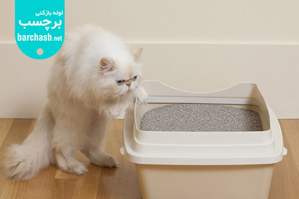دستشویی کردن گربه خارج از خاک به علت مناسب نبودن محل ظرف