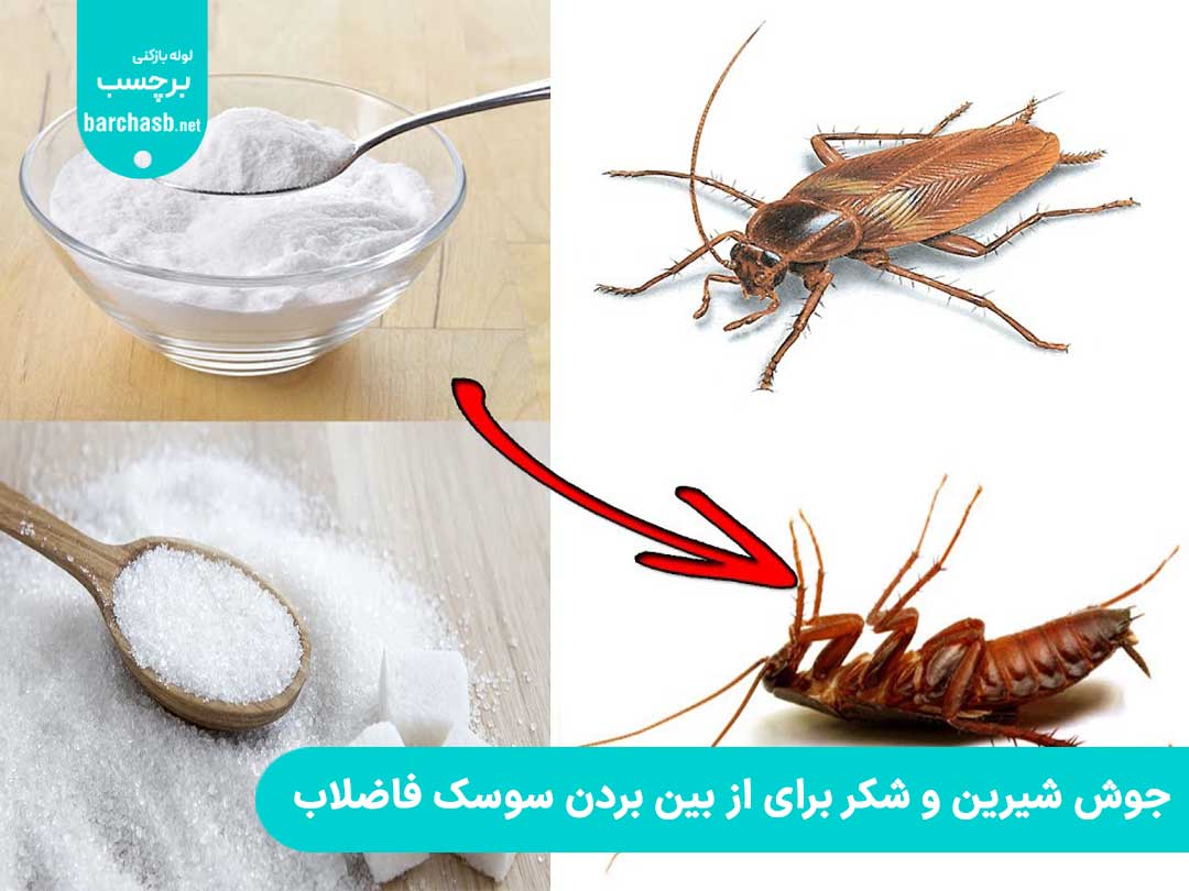 ترکیب جوش شیرین و نمک برای از بین بردن سوسک فاضلاب