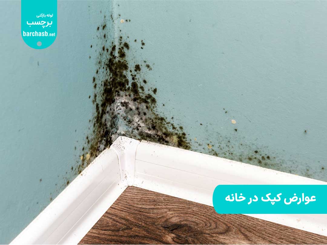 عوارض کپک در خانه | اهمیت شناخت آنها و پیشگیری از روند رشد
