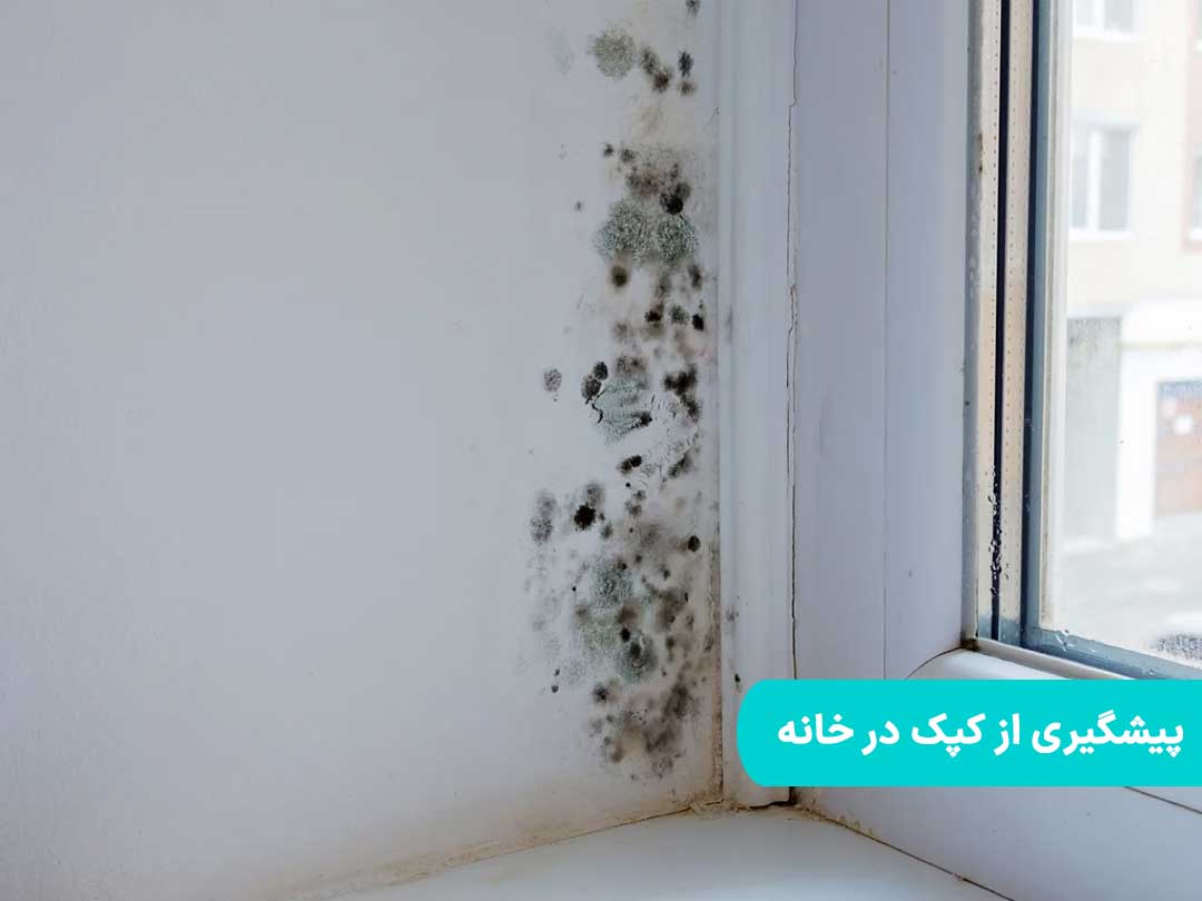 پیشگیری از کپک در خانه