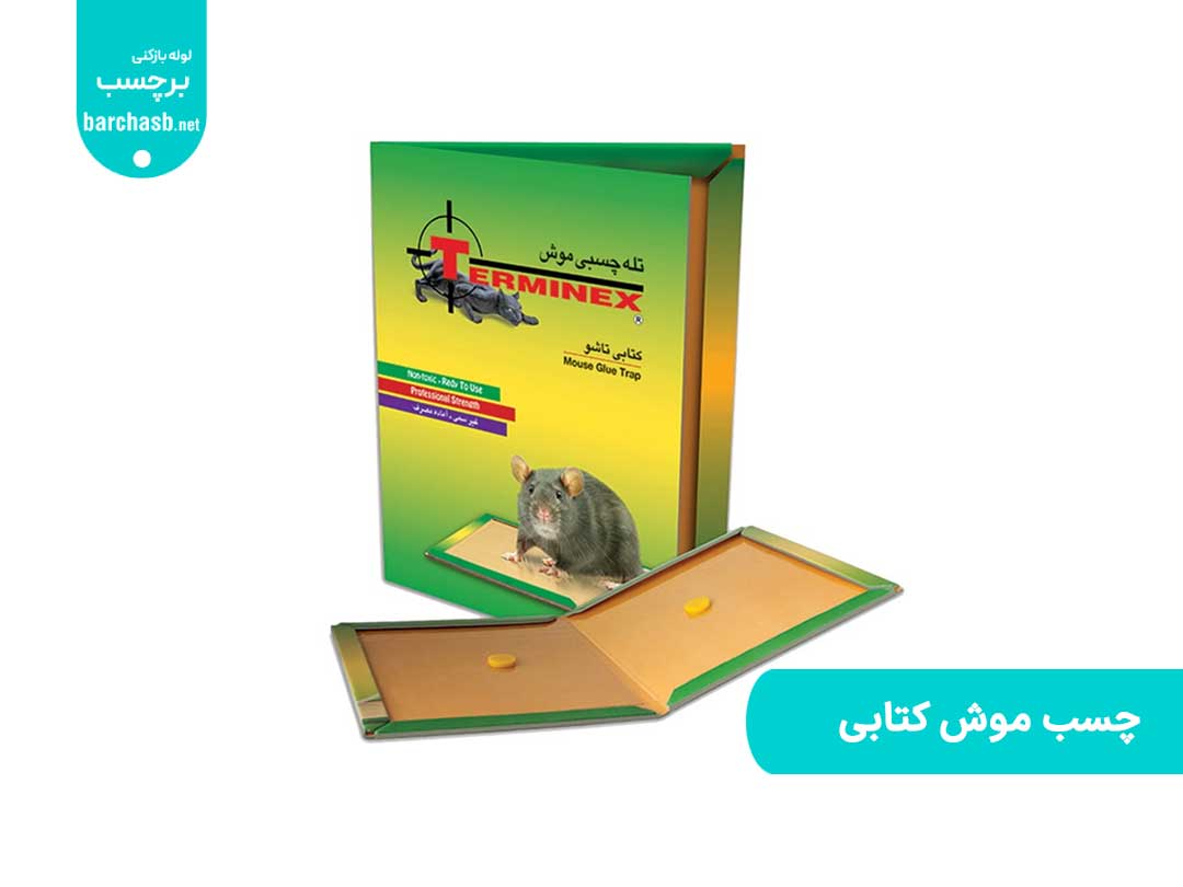 استفاده از چسب موش کتابی آسان ترین روش از بین بردن موش فاضلاب