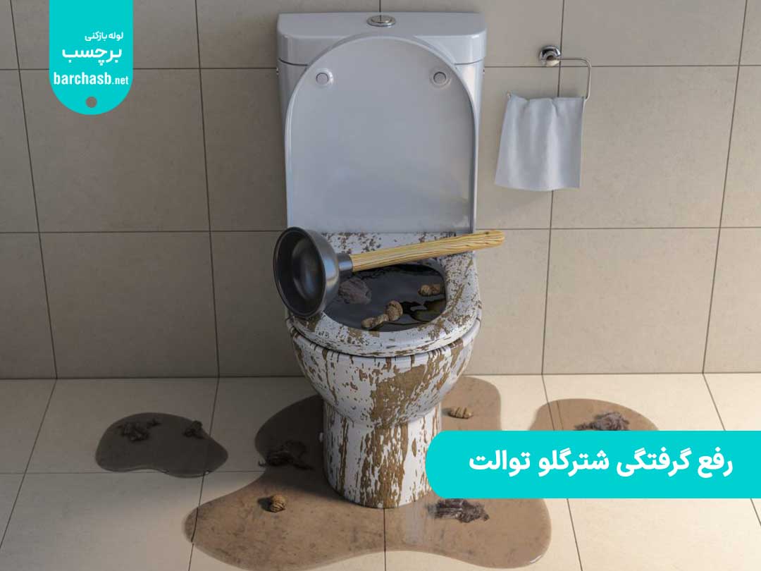 رفع گرفتگی شترگلو توالت چگونه انجام می شود؟ علت آن چیست؟