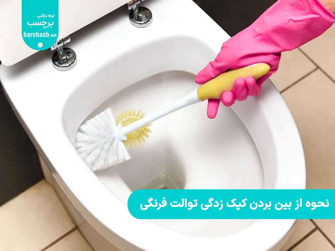 نحوه از بین بردن کپک زدگی توالت فرنگی