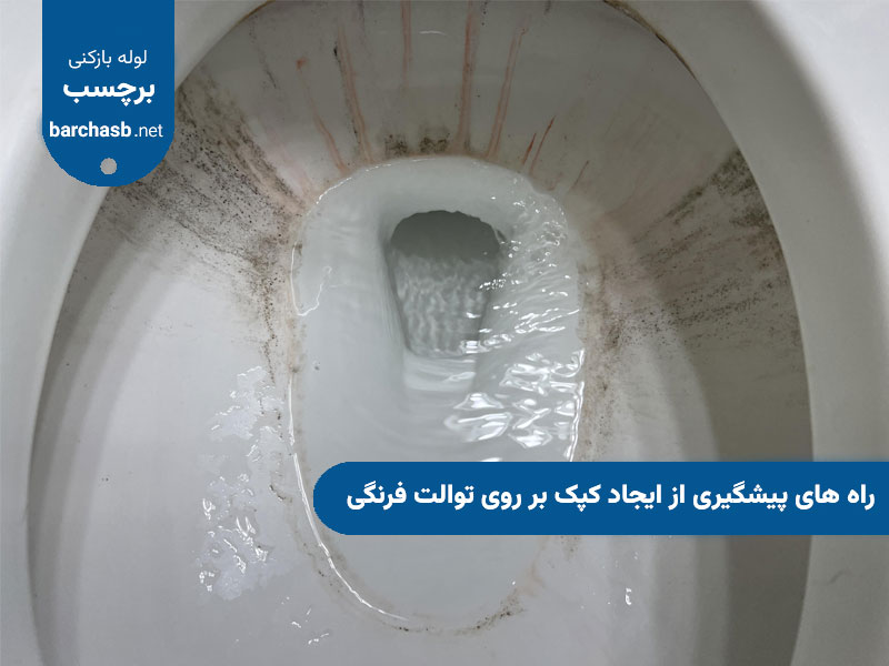 راه های پیشگیری از ایجاد کپک بر روی توالت فرنگی