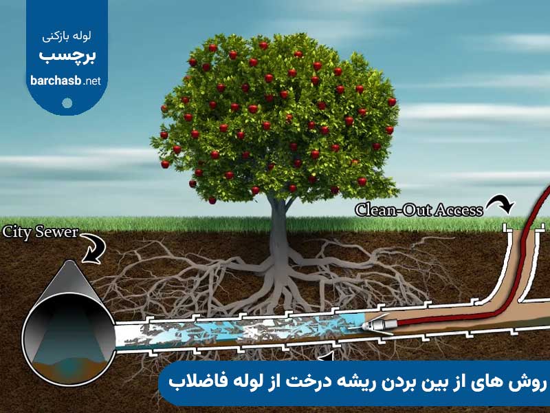 روش های از بین بردن ریشه درخت از لوله فاضلاب
