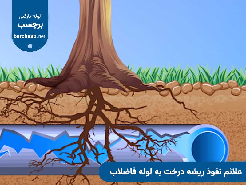 علائم نفوذ ریشه درخت به لوله فاضلاب