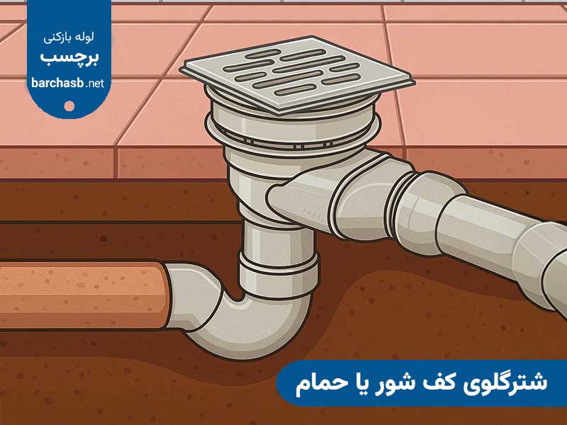 شترگلوی کف شور یا حمام
