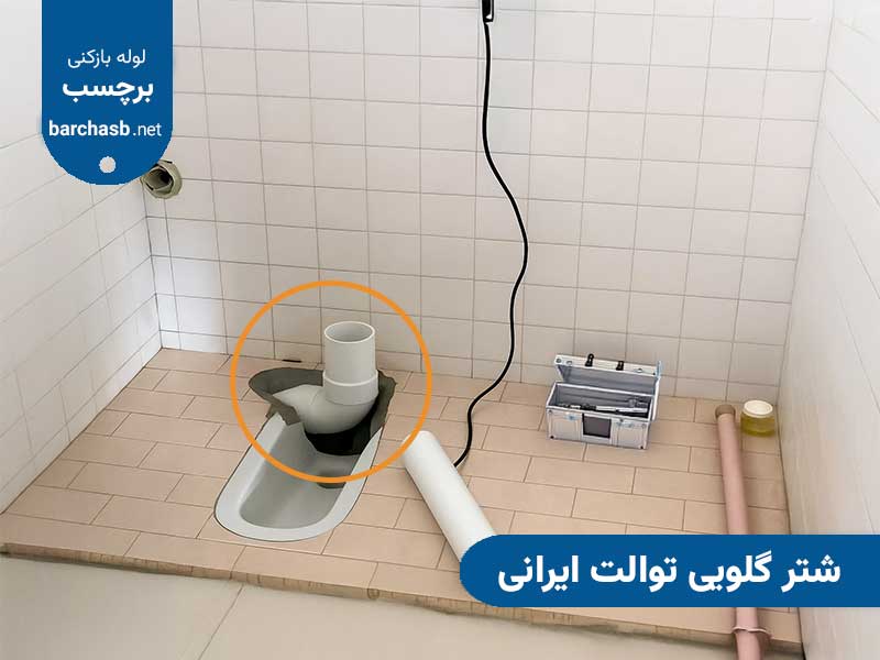 شتر گلویی توالت ایرانی