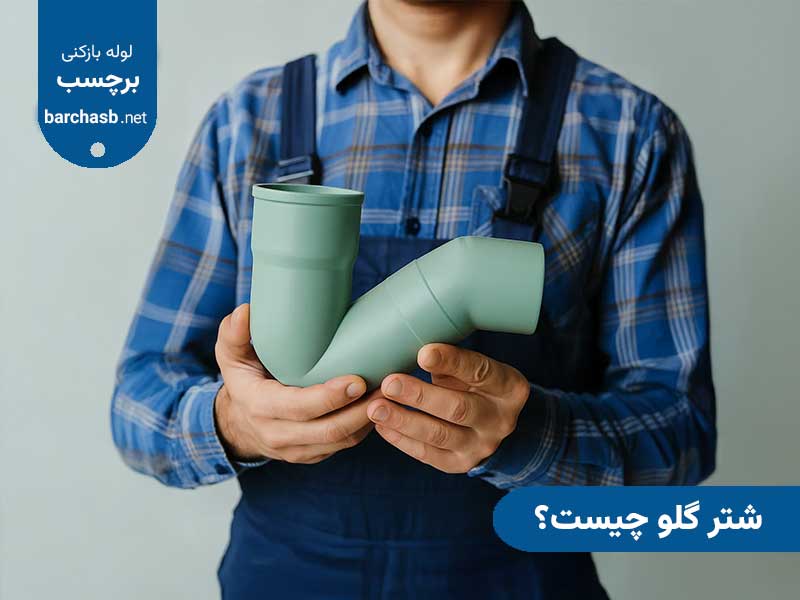 شتر گلو چیست؟